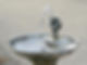 SAK - water